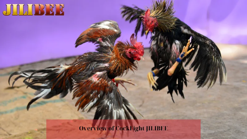 okjl casino how to bet on csgolounge